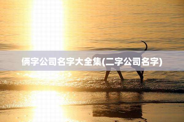 俩字公司名字大全集(二字公司名字)