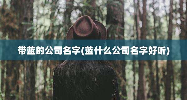 带蓝的公司名字(蓝什么公司名字好听)