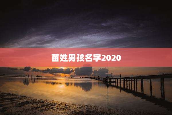 苗姓男孩名字2020