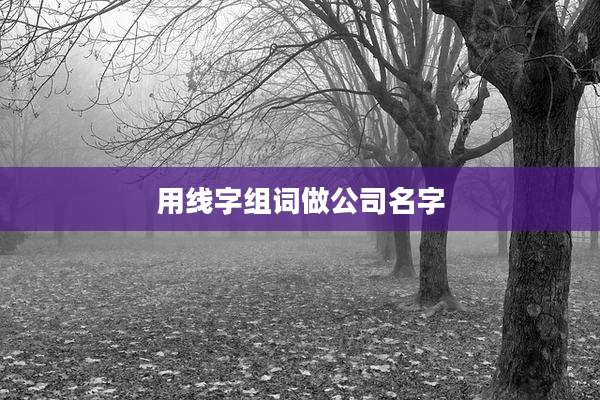 用线字组词做公司名字