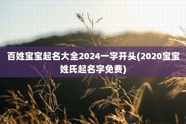 百姓宝宝起名大全2024一字开头(2020宝宝姓氏起名字免费)
