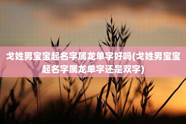 戈姓男宝宝起名字属龙单字好吗(戈姓男宝宝起名字属龙单字还是双字)