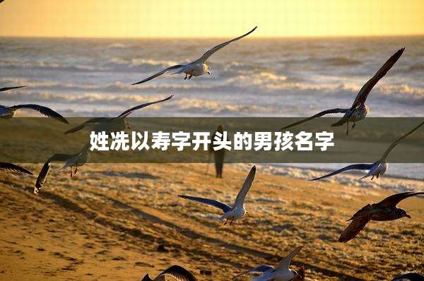 姓冼以寿字开头的男孩名字