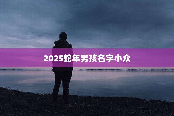 2025蛇年男孩名字小众