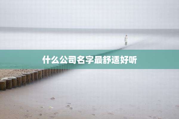 什么公司名字最舒适好听