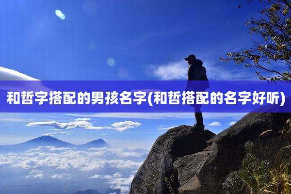 和哲字搭配的男孩名字(和哲搭配的名字好听)
