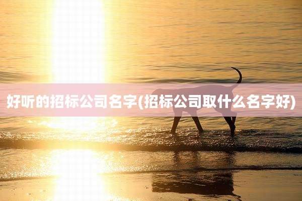 好听的招标公司名字(招标公司取什么名字好)