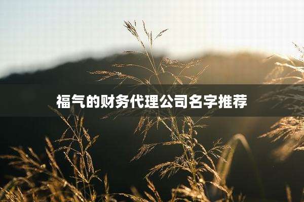 福气的财务代理公司名字推荐