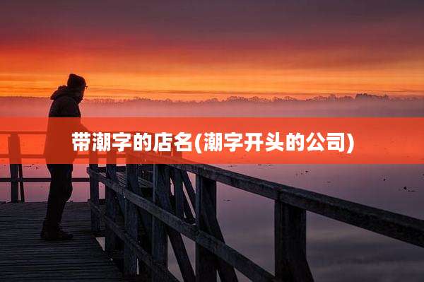 带潮字的店名(潮字开头的公司)