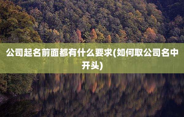 公司起名前面都有什么要求(如何取公司名中开头)