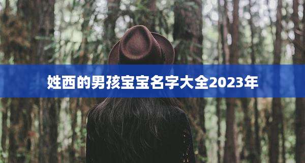 姓西的男孩宝宝名字大全2023年