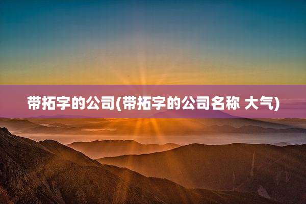 带拓字的公司(带拓字的公司名称 大气)