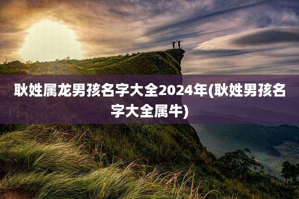 耿姓属龙男孩名字大全2024年(耿姓男孩名字大全属牛)