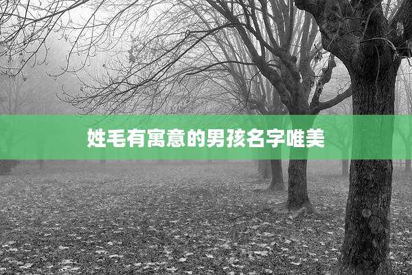 姓毛有寓意的男孩名字唯美