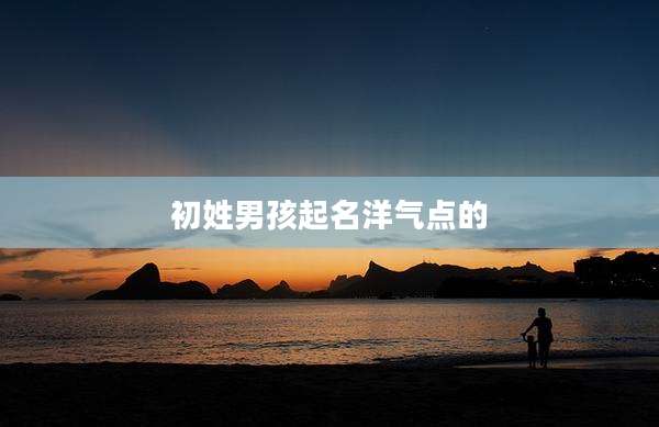 初姓男孩起名洋气点的