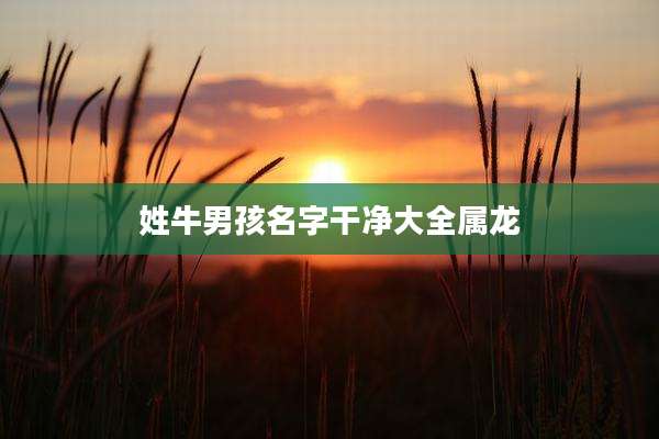 姓牛男孩名字干净大全属龙