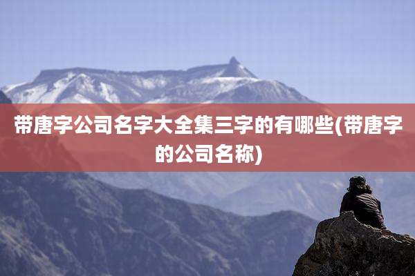 带唐字公司名字大全集三字的有哪些(带唐字的公司名称)
