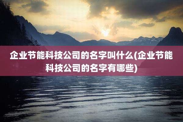 企业节能科技公司的名字叫什么(企业节能科技公司的名字有哪些)