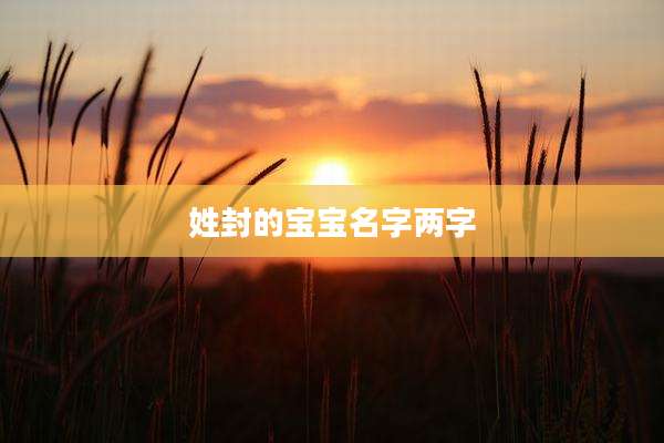 姓封的宝宝名字两字