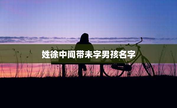 姓徐中间带未字男孩名字