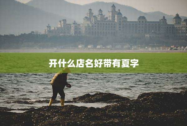开什么店名好带有夏字