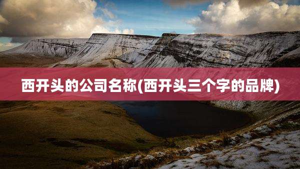 西开头的公司名称(西开头三个字的品牌)