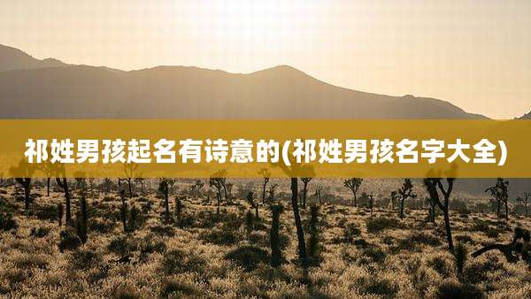 祁姓男孩起名有诗意的(祁姓男孩名字大全)