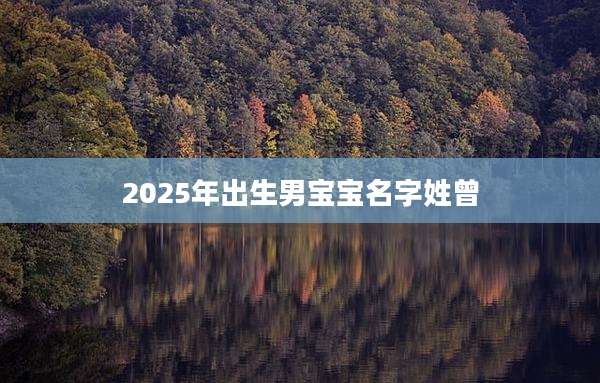 2025年出生男宝宝名字姓曾