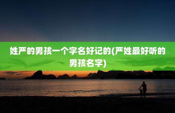 姓严的男孩一个字名好记的(严姓最好听的男孩名字)