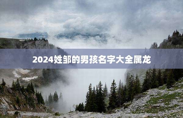 2024姓邹的男孩名字大全属龙