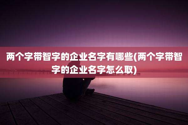 两个字带智字的企业名字有哪些(两个字带智字的企业名字怎么取)