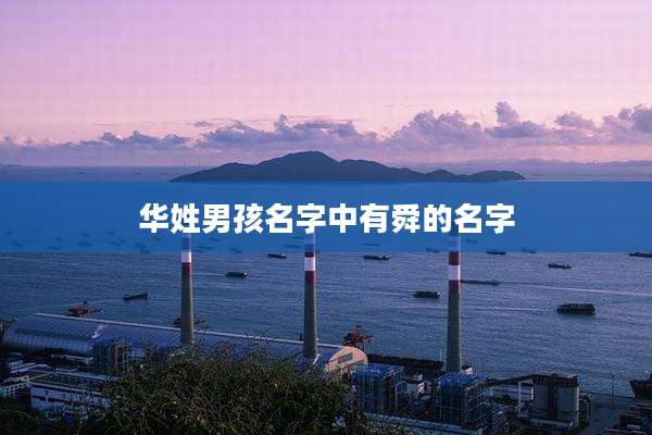华姓男孩名字中有舜的名字