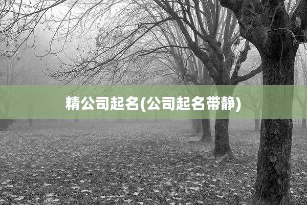 精公司起名(公司起名带静)
