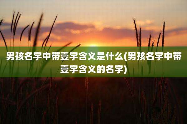 男孩名字中带壹字含义是什么(男孩名字中带壹字含义的名字)