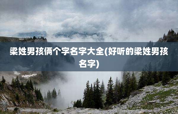梁姓男孩俩个字名字大全(好听的梁姓男孩名字)