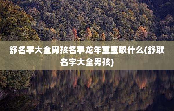 舒名字大全男孩名字龙年宝宝取什么(舒取名字大全男孩)