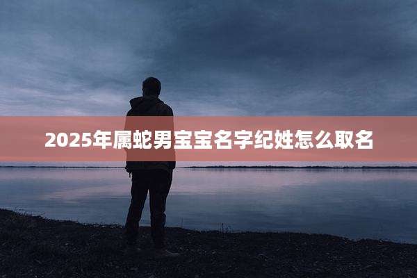 2025年属蛇男宝宝名字纪姓怎么取名