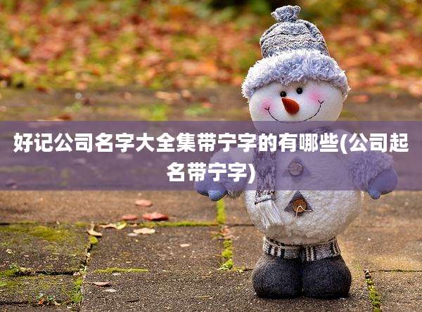好记公司名字大全集带宁字的有哪些(公司起名带宁字)