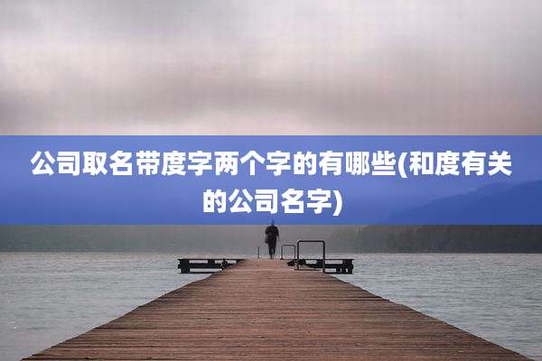 公司取名带度字两个字的有哪些(和度有关的公司名字)