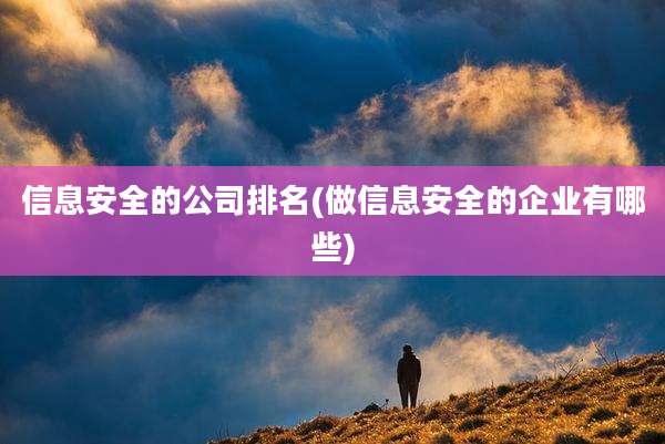 信息安全的公司排名(做信息安全的企业有哪些)