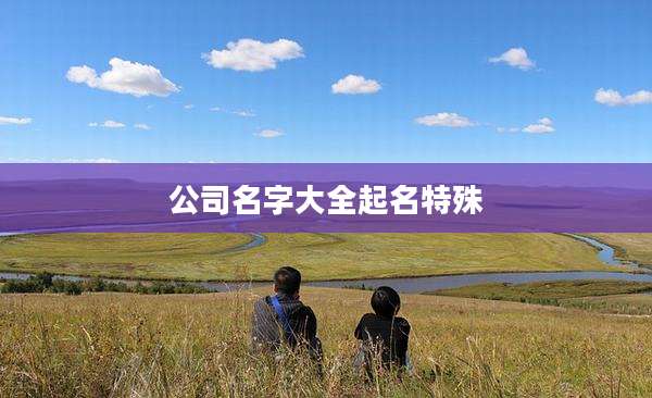公司名字大全起名特殊