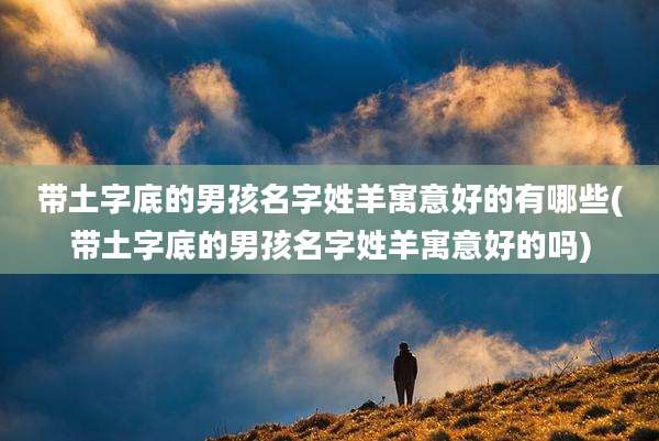 带土字底的男孩名字姓羊寓意好的有哪些(带土字底的男孩名字姓羊寓意好的吗)