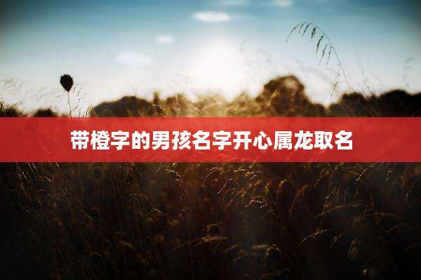 带橙字的男孩名字开心属龙取名