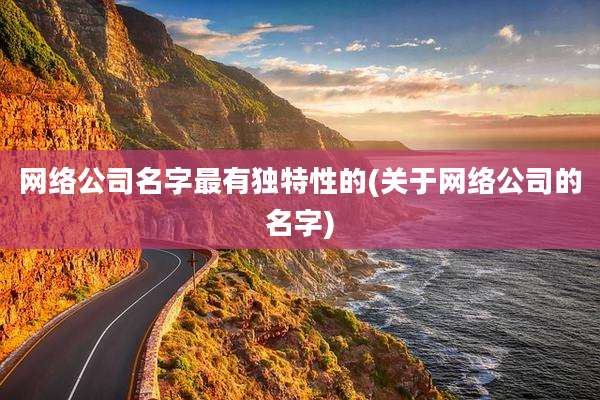 网络公司名字最有独特性的(关于网络公司的名字)