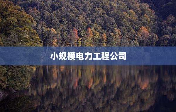 小规模电力工程公司