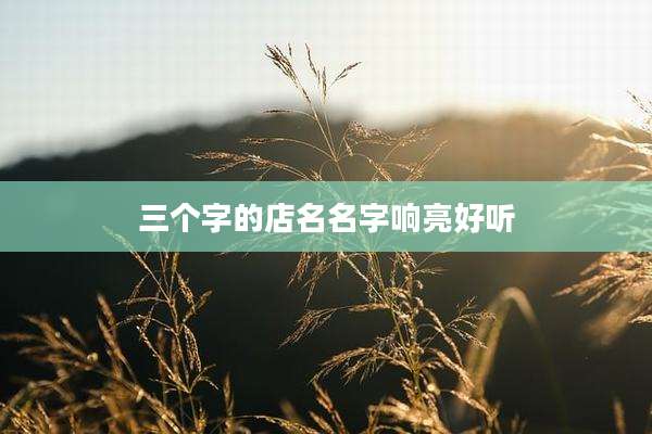三个字的店名名字响亮好听