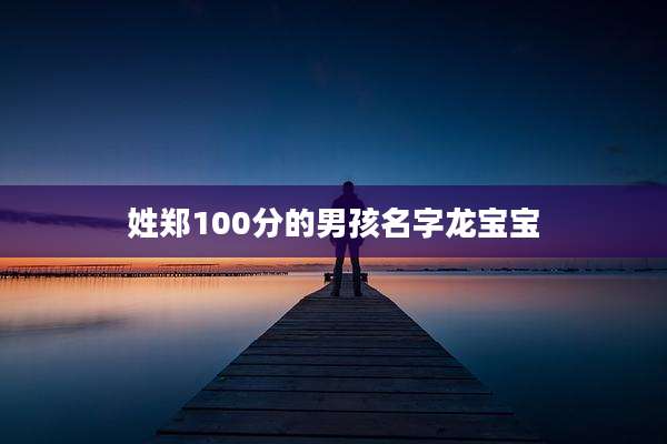 姓郑100分的男孩名字龙宝宝