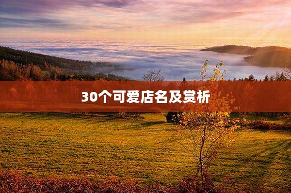 30个可爱店名及赏析