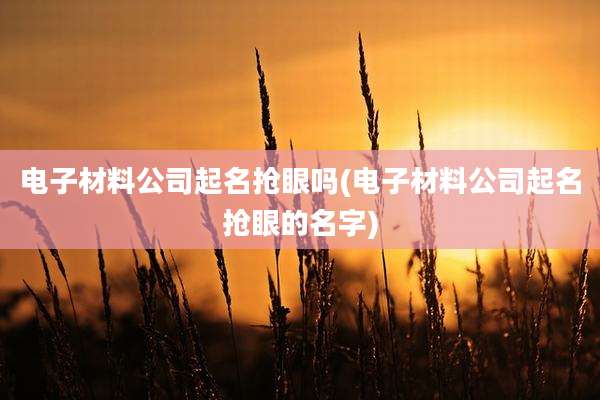 电子材料公司起名抢眼吗(电子材料公司起名抢眼的名字)
