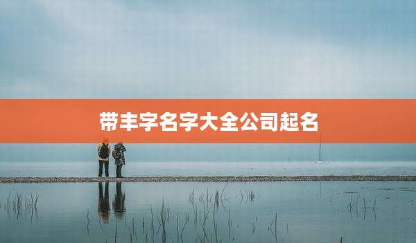 带丰字名字大全公司起名